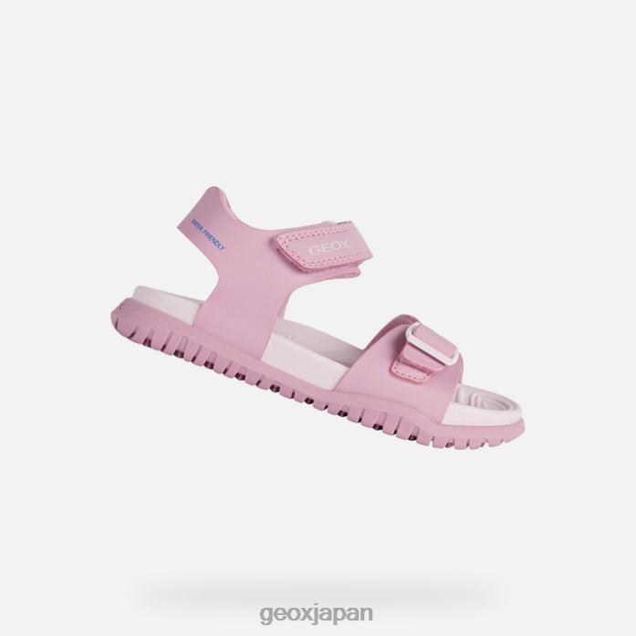 Geox Shoes Japan サンダルフスベットジュニア 822JX991 女の子 ダークピンク/ライトライラック