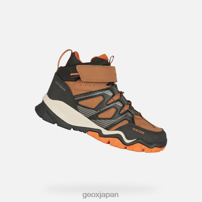 Geox Shoes Japan モントラック abx ボーイ 822JX1273 男の子たち ブラウン/ブラック